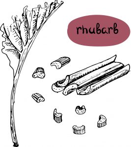 Rhubarb
